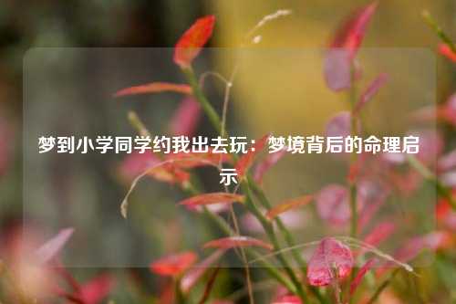 梦到小学同学约我出去玩：梦境背后的命理启示