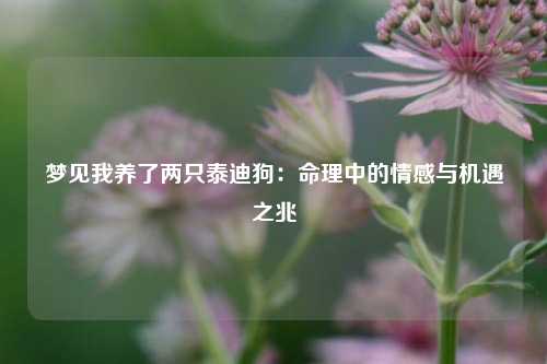 梦见我养了两只泰迪狗:命理中的情感与机遇之兆