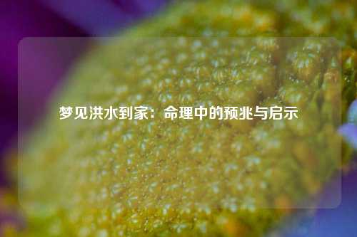 梦见洪水到家:命理中的预兆与启示