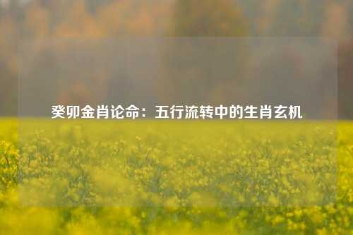 癸卯金肖论命：五行流转中的生肖玄机